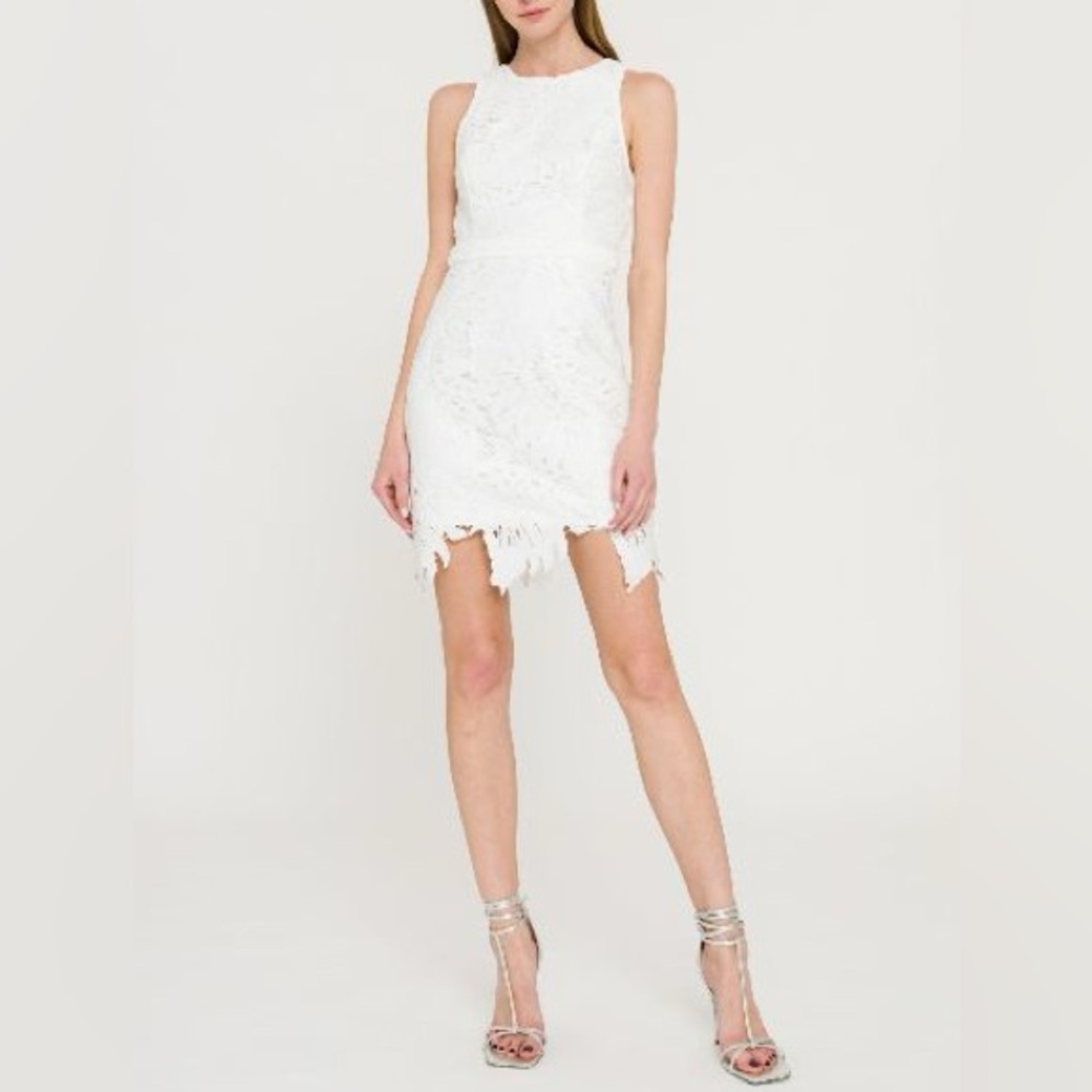 NWT- ENDLESS ROSE Crochet Lace Mini Lace Dress